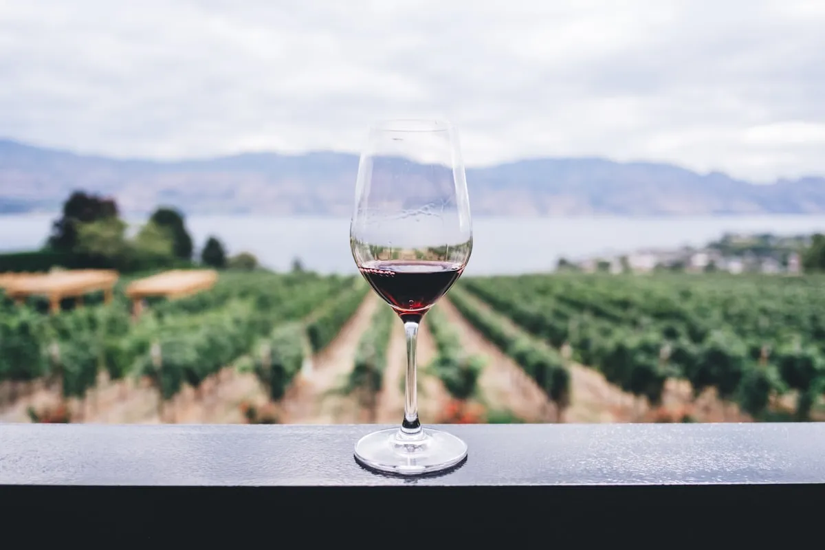 How Vinea Wachau Manages E-Labels for 100+ Member Wineries with Glasswise